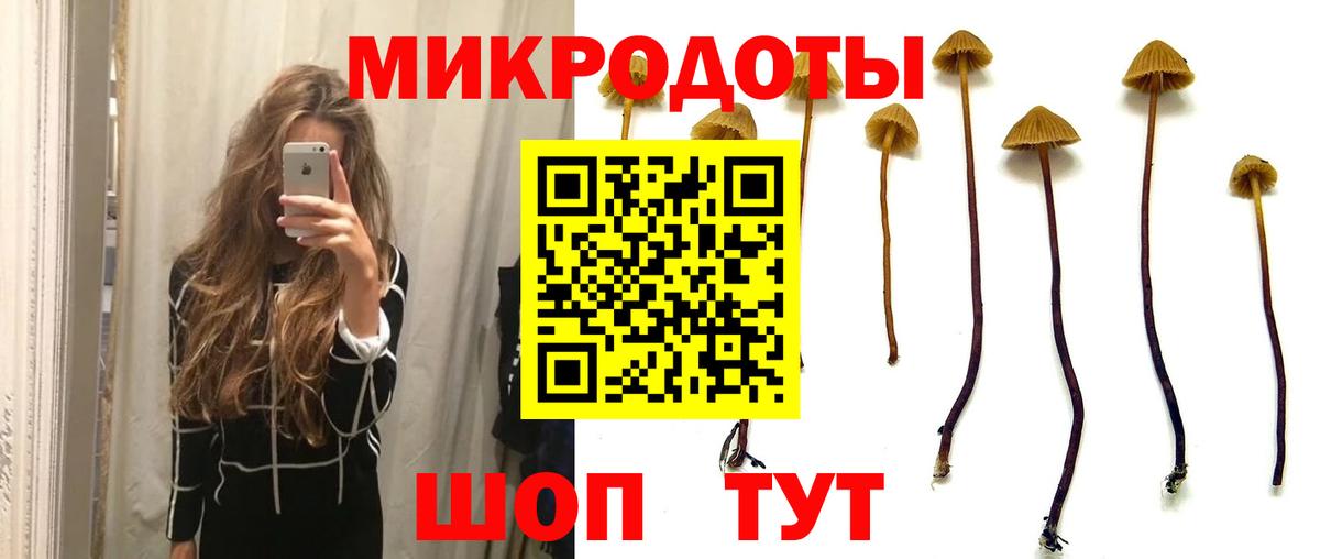 Псилоцибиновые грибы MAGIC MUSHROOMS Брянск